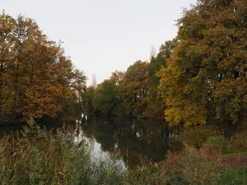 Haasdonk (België)